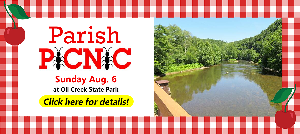 summer picnic banner